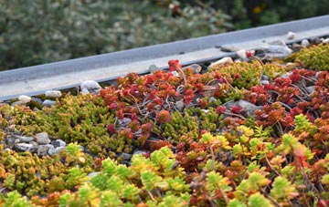 the cost of Ffynnon Ddrain green roof installation