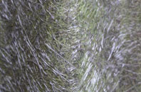 Ffynnon Ddrain fibreglass roof work